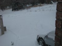 SnowFeb2011-02.jpg