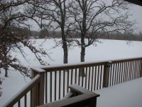 SnowFeb2011-05.jpg