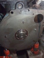 rear plate.jpg