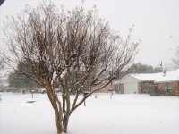snow 009.JPG