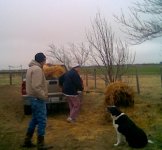 Mulch loading 3 -18-2010.jpg