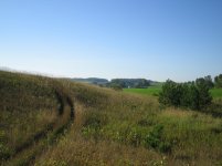 IMG_2851.jpg