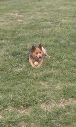 IMAG0088.jpg