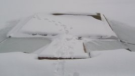 dock 4.jpg