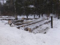 BarnLogs009.jpg