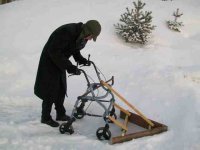 V plow for seniors.jpg