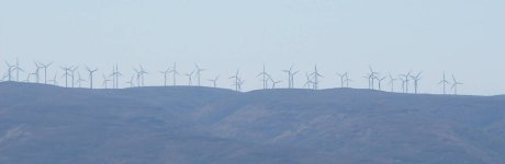 wild_horse_wind.jpg