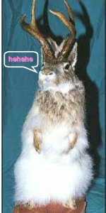532683-LaffinJackalope.jpg