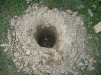 440834-Wood Shelter Good Hole small.JPG