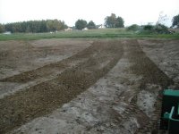 491340-Pul Field 1.jpg