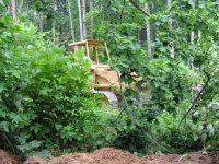 351675-1.Clearing (Small).JPG