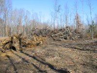 351679-3.Burn_pile.JPG