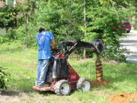351729-20.Fence_Dingo (Small).JPG