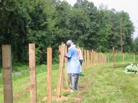 351732-22.Fence.JPG