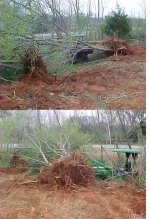 772242-TreeTractor.jpg