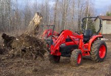 352245-Stump.jpg