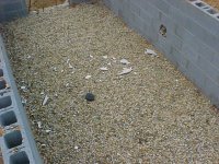 533672-pvc pipe blowup 3.jpg