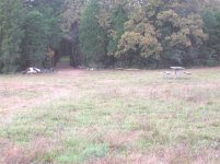 533817-fieldpicinic.jpg