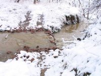 399624-crossing.JPG
