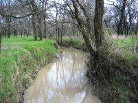 399626-creekbed.JPG