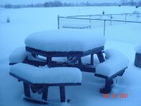 35-95403-Winter01PicnicTable.jpg