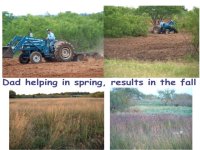 352928-dadgrassfields.jpg