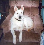 352930-Lily in chair-3.jpg