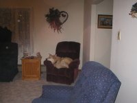 352939-Buddy1.JPG