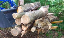 442828-pallet logs 2b.JPG