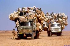 353071-trucks.jpg