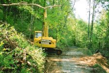 443039-Scan0002.jpg