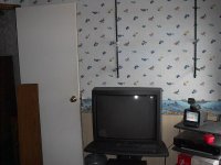 534559-10.jpg