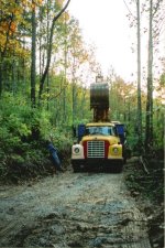 443045-Scan0005.jpg