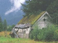 488672-Shed in Field2.jpg