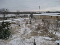 yard 1.jpg