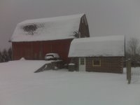 Blackberrypics winter 10 252.jpg