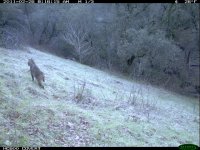 02.26.11 BC4.JPG