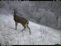 02.26.11 D6.JPG
