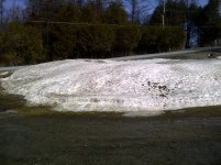 Fenner-20110318-00062.jpg