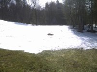 Fenner-20110318-00063.jpg