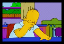 homer_facepalm.jpg