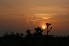 IMG_6816.jpg
