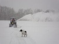 JD425&Blower.JPG