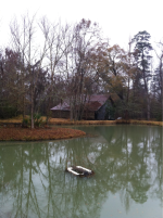 image-216737966.png