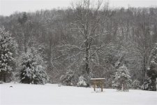 Ranch snow 2010 270.jpg