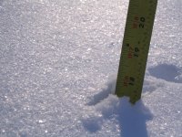 IMG_2430.JPG