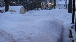 DSC03991.jpg