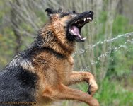 WaterFun_0133s.jpg