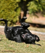 ForumRunner_20110410_141954.png