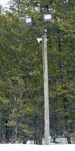 lights 4.jpg